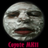 coyotemk11