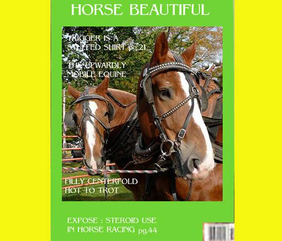 HORSE BEAUTIFUL