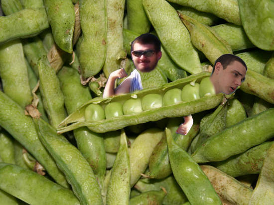 If my Friends were Beans