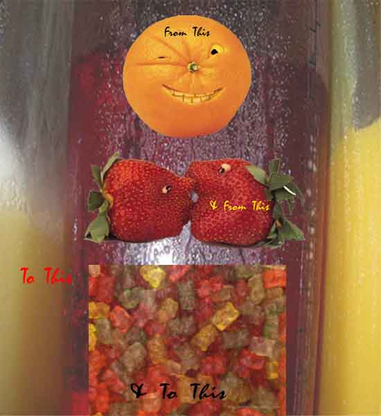 Fruit Cycle