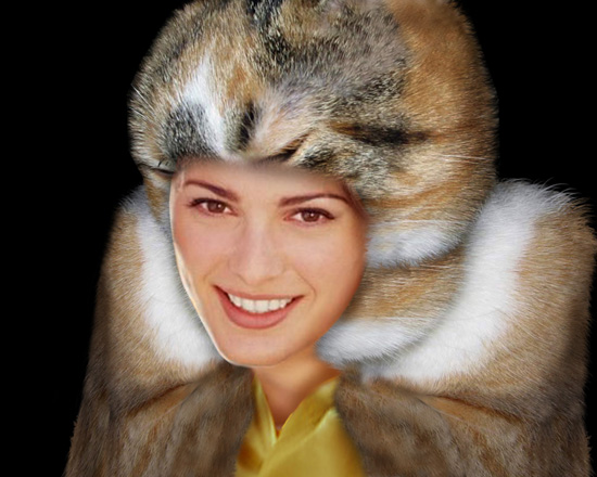 Cat Fur Coat