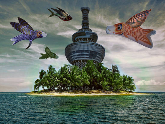 Flying fish island