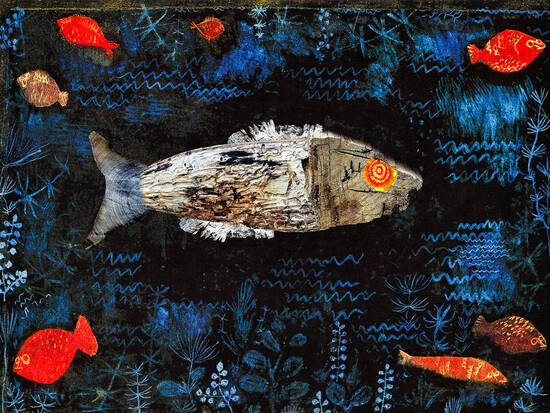 I see fish