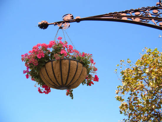 Decorative flower basket