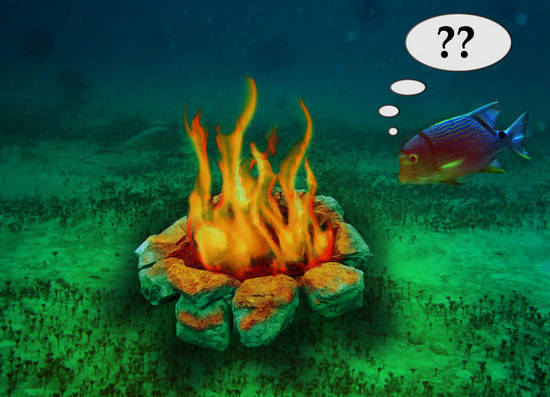 Underwater Campfire