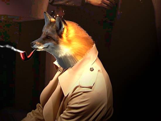 Sir fox