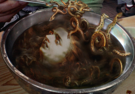 Medusa Soup