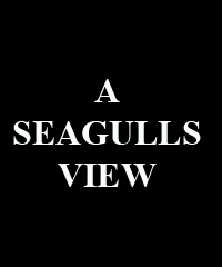 Seagulls View