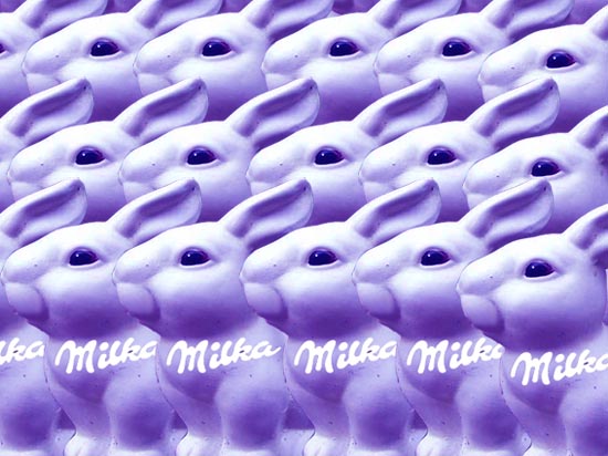 many milka rabbits