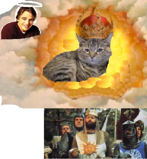 The Holy Cat