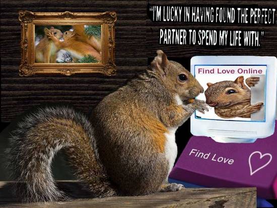 Nuts for Love