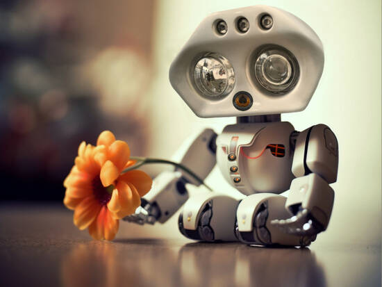 Romantic Robot