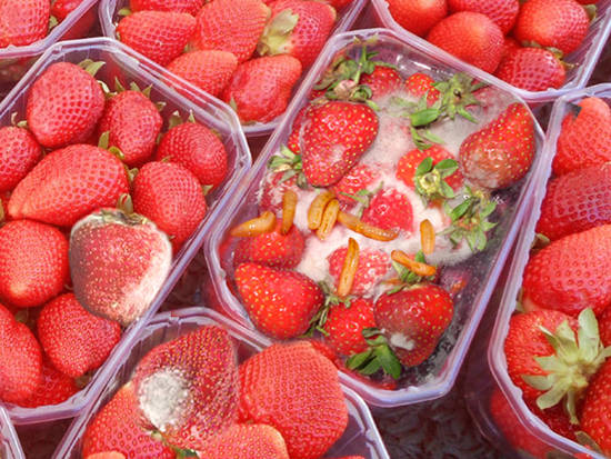 Mmmm Yummy Strawberries