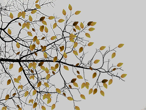 Falling Leaves (Gif)