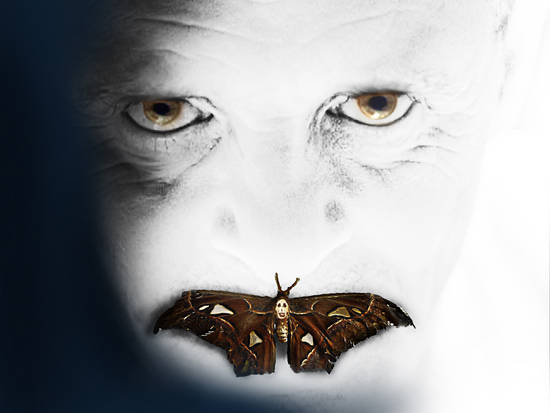 Silence of the Moth