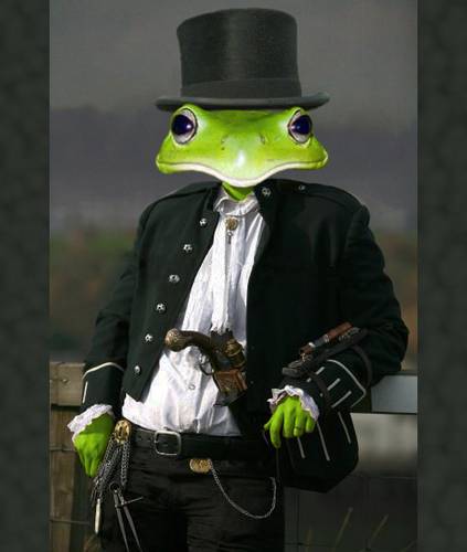 Gentleman Frog
