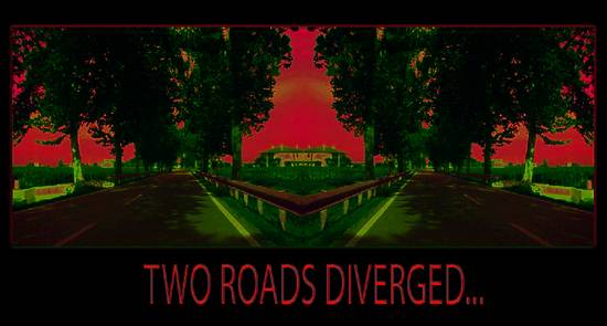 Two Roads Diverged...