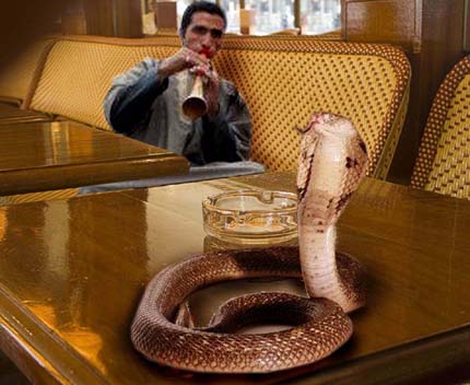 Snake Sharmer