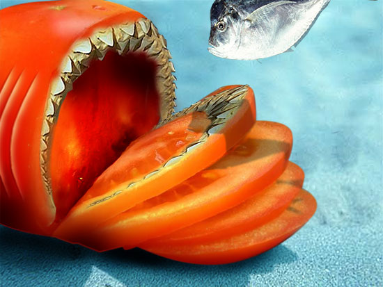 deep sea tomato shark