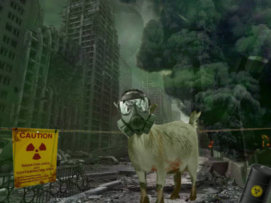 nuclear goat