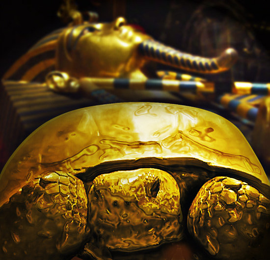 Pharoah's Golden Turtle