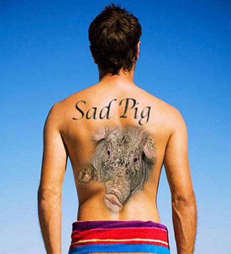 Sad pig tattoo