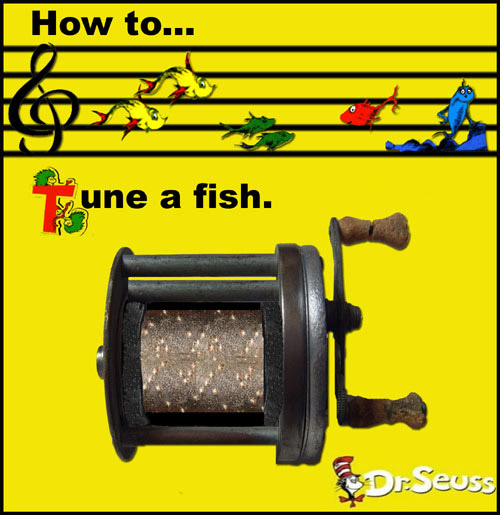 How to Tune a Fish.
