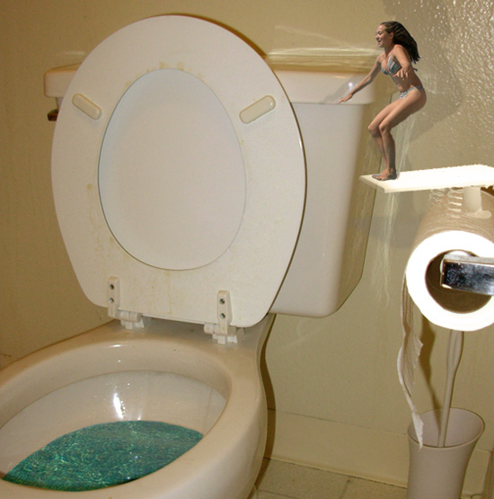 toilet diver