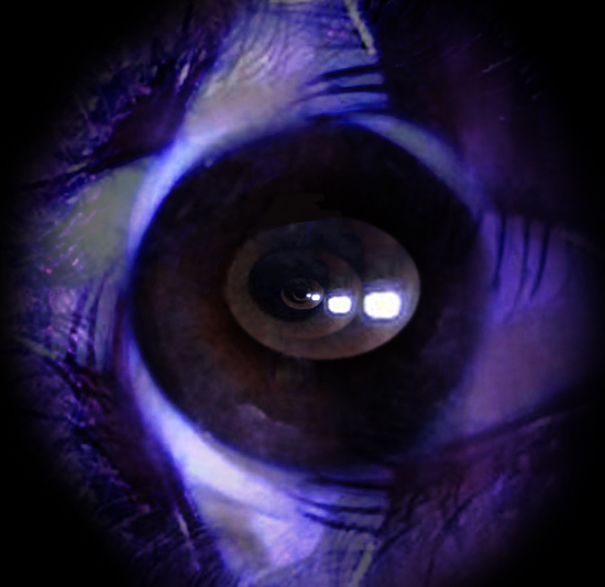  Eye of enigma