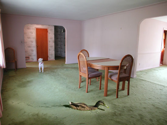 duck in the room