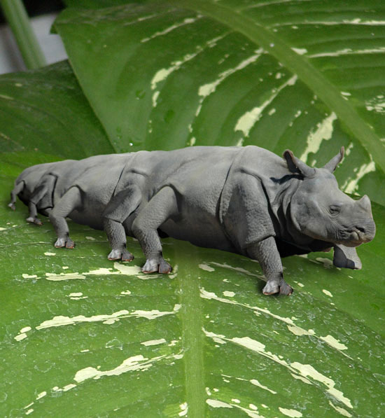 Rhinopillar