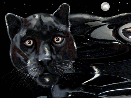  ~ Black Panther ~