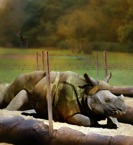 Rhino Army Training.