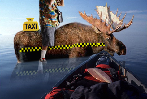 The Real Canadian Taxi!