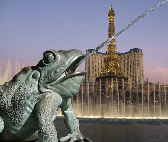 Frog visits Vegas