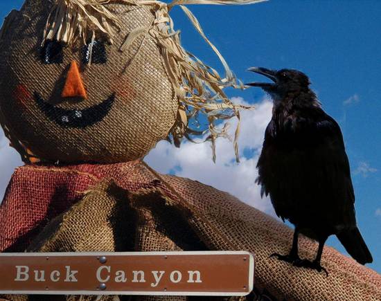 Welcome to Buck Canyon