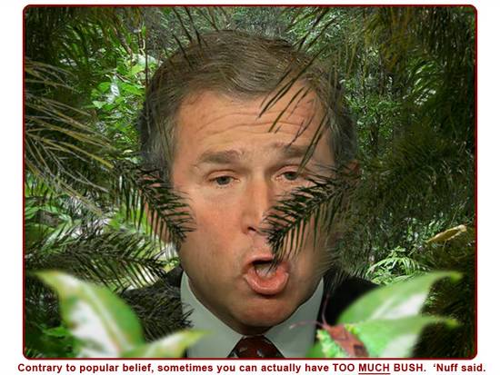 Too Much Bush