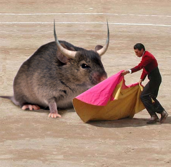 horny mouse
