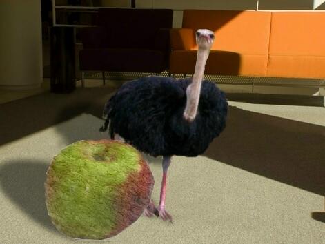 Rock Apple and Ostrich