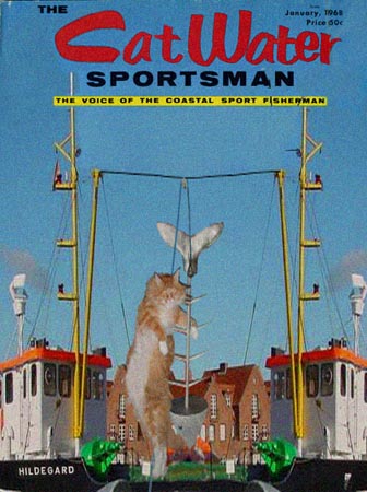 Cat Water Sportsman