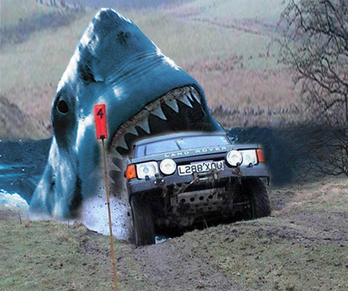 rally sharky