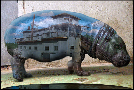 Painted Hippo