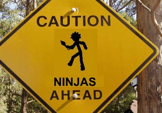 Ninjas Crossing