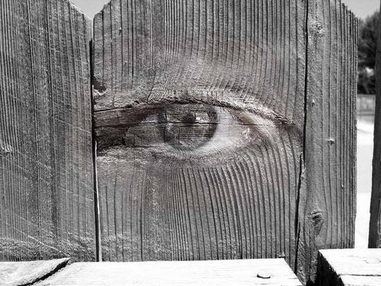 wooden eye