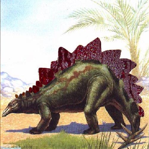 Stegosaurous