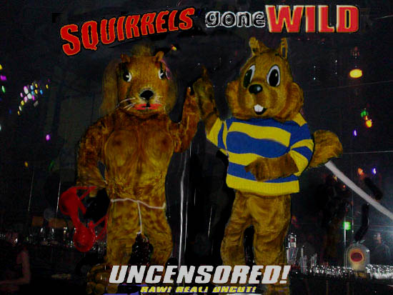 Squirrels Gone Wild !!