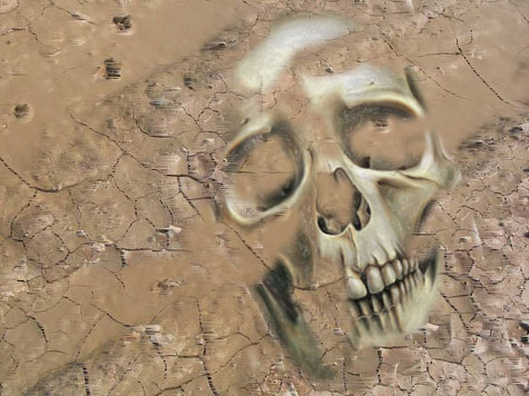 Skull in sand