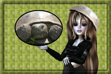 turtlegirl