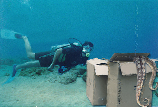 Underwater Box