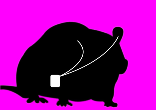 ipod mouse